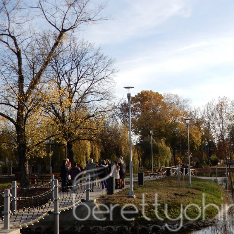 Tulipánfával a mellrák ellen 26